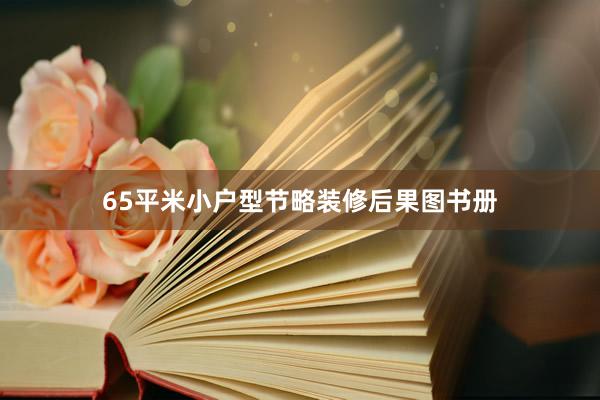 65平米小户型节略装修后果图书册